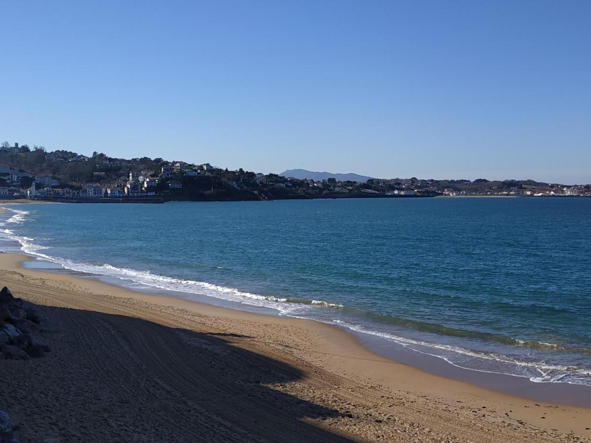 Labechiloa Plage - T4 - 84 M2 - 3 Ch - Centre Historique سان جان دو لوز المظهر الخارجي الصورة